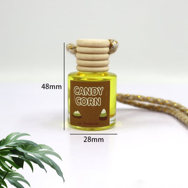 This Week's Special Price🍃Scented Car Air Freshener