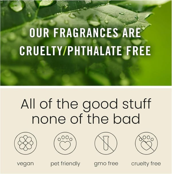 This Week's Special Price🍃Scented Car Air Freshener