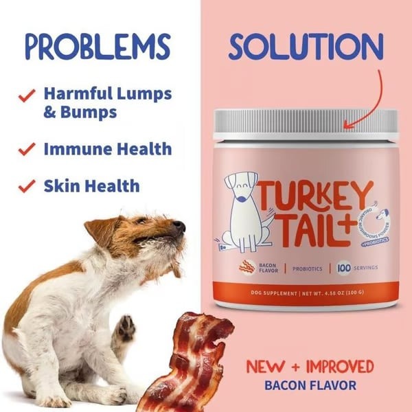 Turkey Tail Mushroom + Probiotic Formula