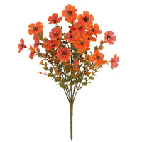 Autumn tangerine