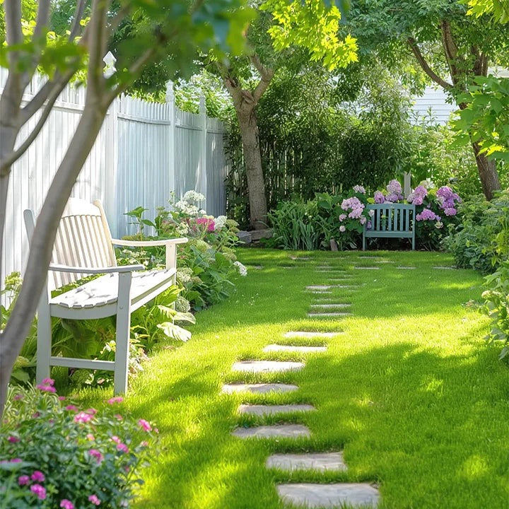 Evergreen dwarf grass seed for four seasons