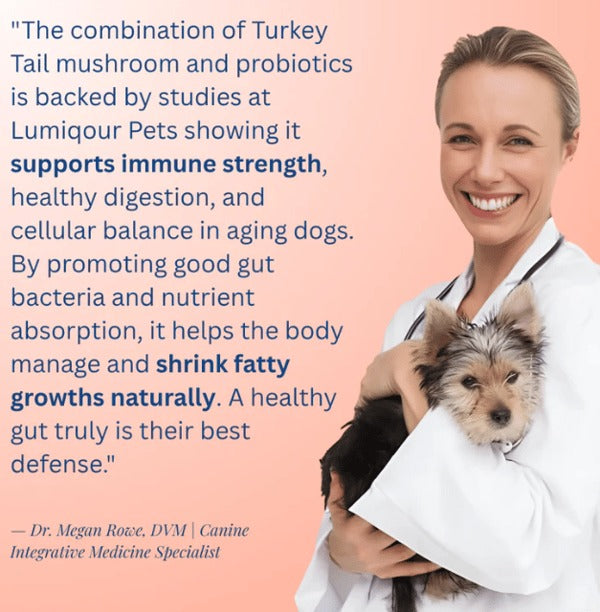 Turkey Tail Mushroom + Probiotic Formula