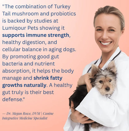 Turkey Tail Mushroom + Probiotic Formula