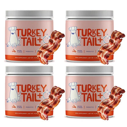 Turkey Tail Mushroom + Probiotic Formula