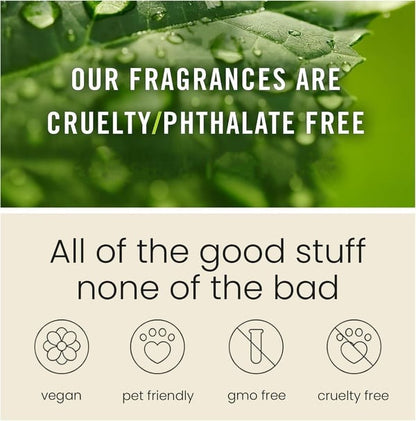 This Week's Special Price🍃Scented Car Air Freshener
