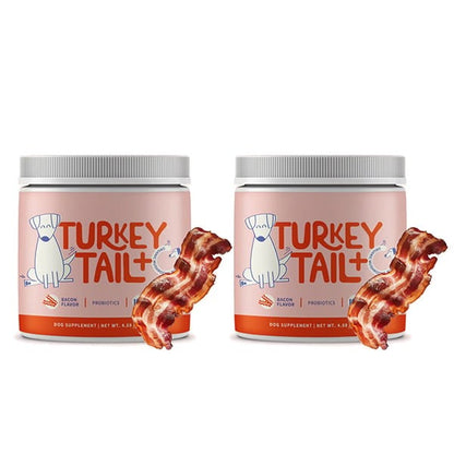 Turkey Tail Mushroom + Probiotic Formula